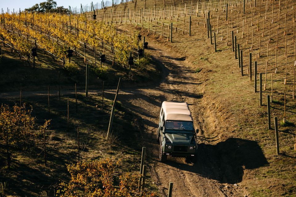 Los Angeles: Private 4x4 Vineyard Tour in Malibu - Highlights of the Experience