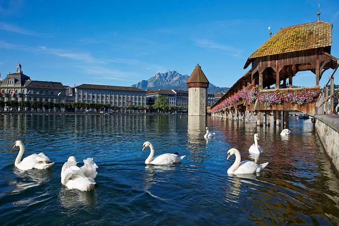 Lucerne Day Trip From Zurich Including Lake Lucerne Cruise - Meeting Point and Pickup