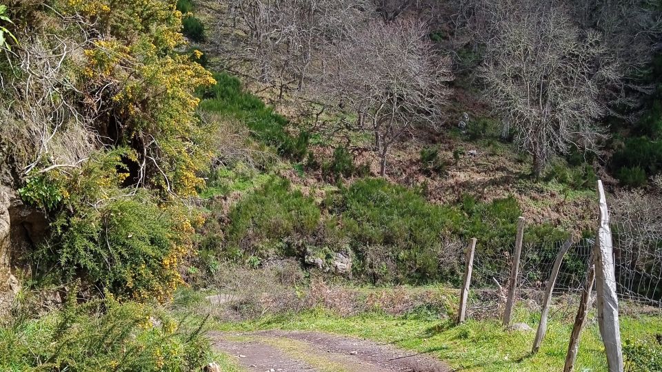 Madeira All Day Jeep Nature Tours. - Tour Highlights