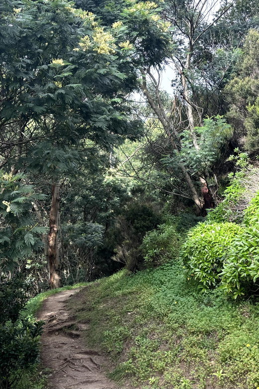 Madeira: Cliff Hanger Vereda Larano Hike Machico - Itinerary Highlights