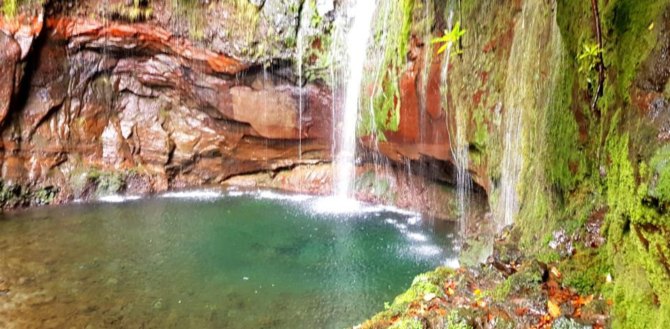 Madeira: Mountain Walk With Lagoon and Waterfalls - Experience Highlights