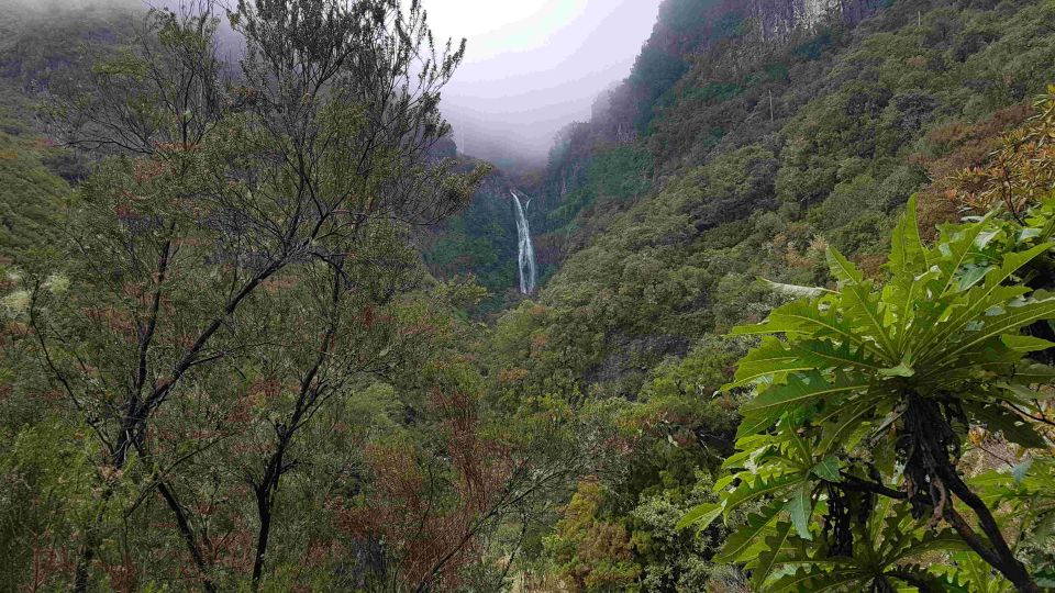 Madeira: Private Walking Tour of Levada Das 25 Fontes PR6 - Inclusions and Exclusions