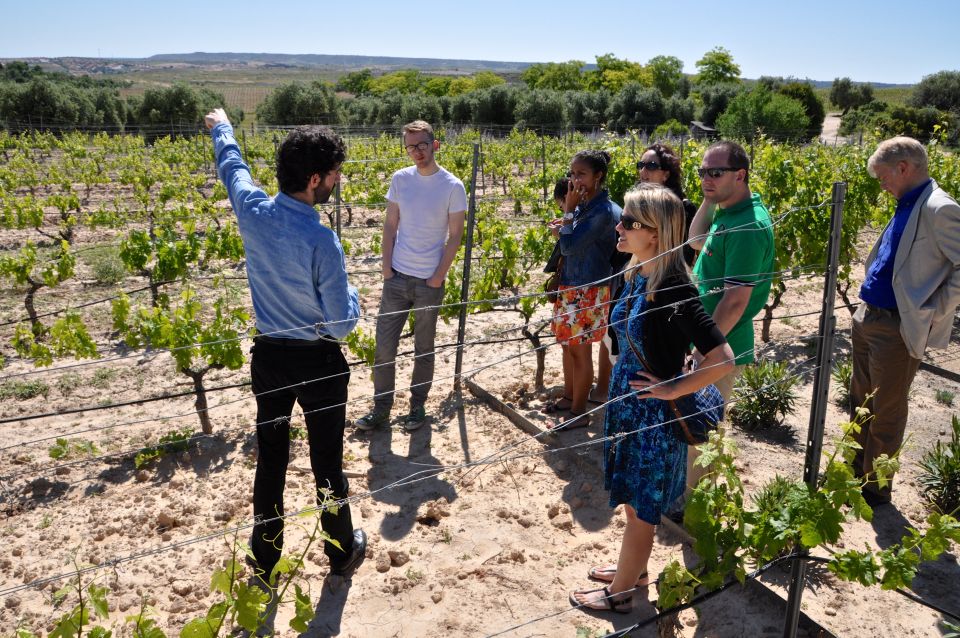 Madrid Region Wineries: Guided Tour and Tastings - Experience Highlights