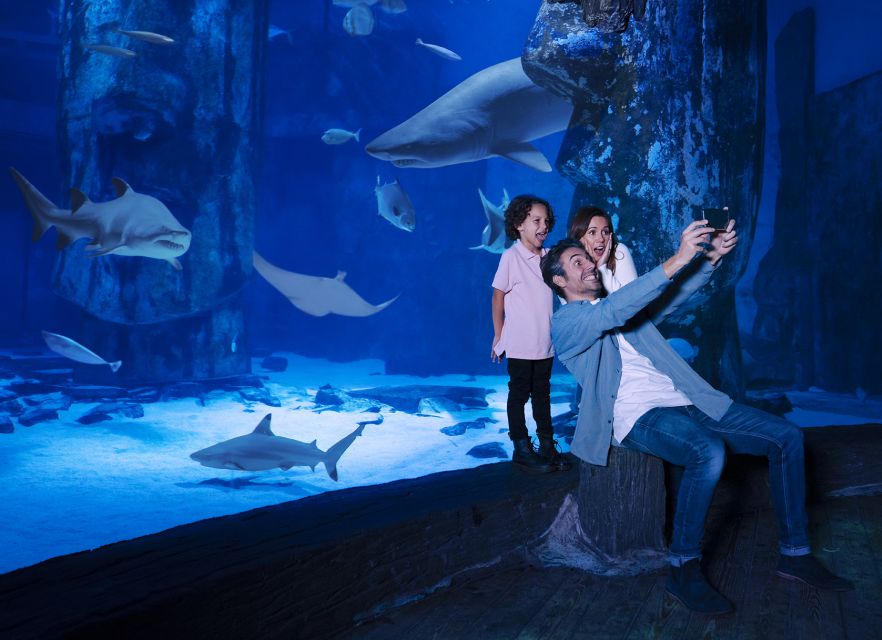 Mall of America: Sea Life Minnesota Aquarium Entry Ticket - Aquarium Highlights and Attractions