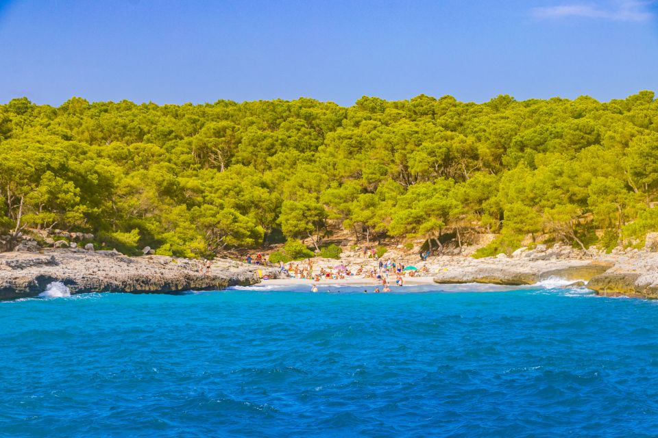 Mallorca: Cala Mondragó Natural Park Jetski Tour - Tour Inclusions