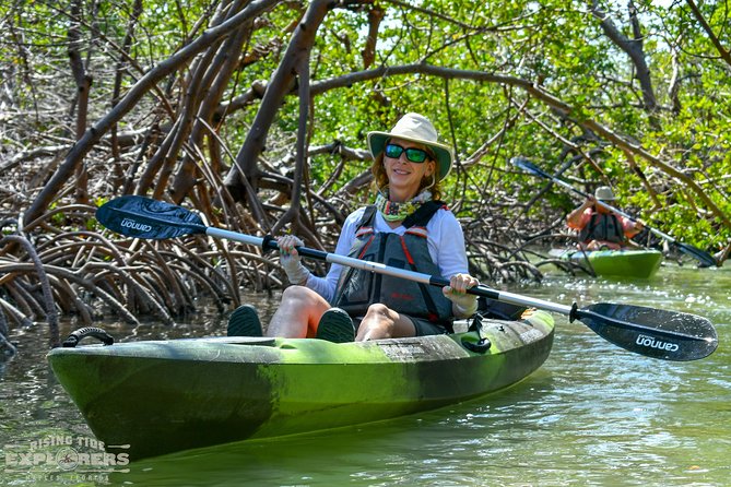 Mangrove Tunnels & Mudflats Kayak Tour - Local Biologist Guides - Equipment and Inclusions