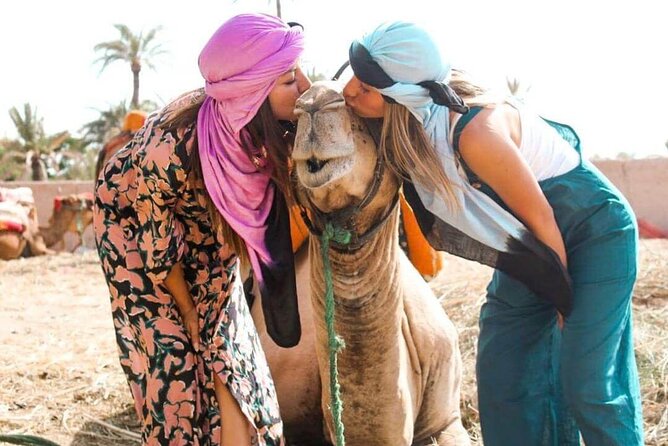 Marrakech Sunset Camel Ride in the Palm Grove - Inclusions