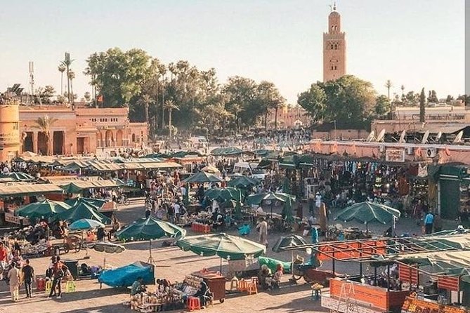 Marrakech Walking Tour - Tour Highlights