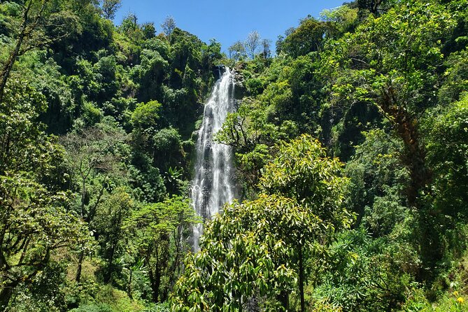 Materuni Waterfall, Coffee Tour and Picnic Hot Lunch - Inclusions and Exclusions