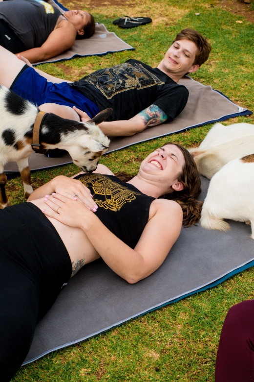 Maui Goat Yoga With Miniature Goats - Psychological Benefits of Animal-Assisted Therapy