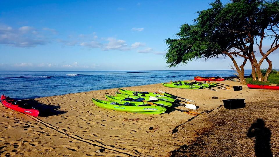 Maui: West Side Discovery Kayak & Snorkel From UKUMEHAME - Itinerary and Experience