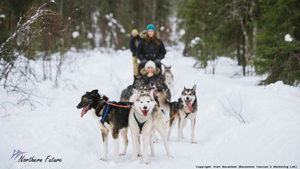 Meeting Santa Claus & Arctic Reindeer Safari & Hug Huskies - Free Cancellation and Reservations