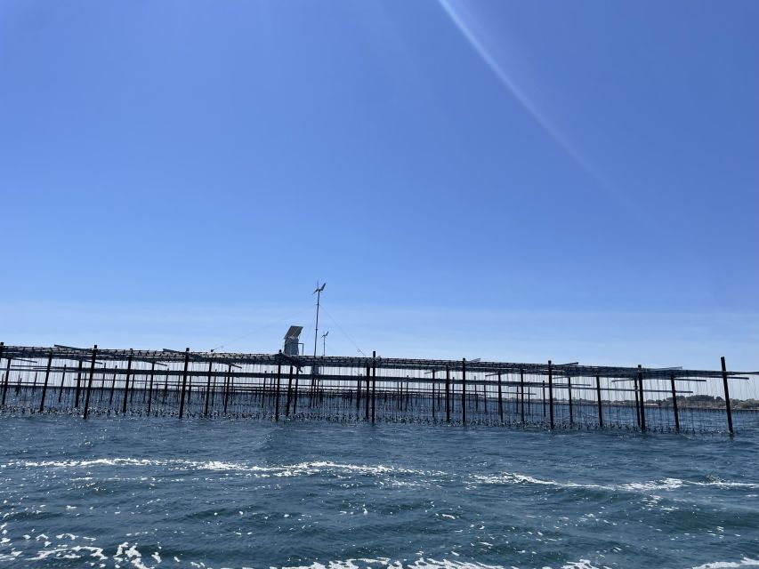 Montpellier: Half-Day Trip to Etang De Thau Lake With Lunch - Boat Trip With Fisherman