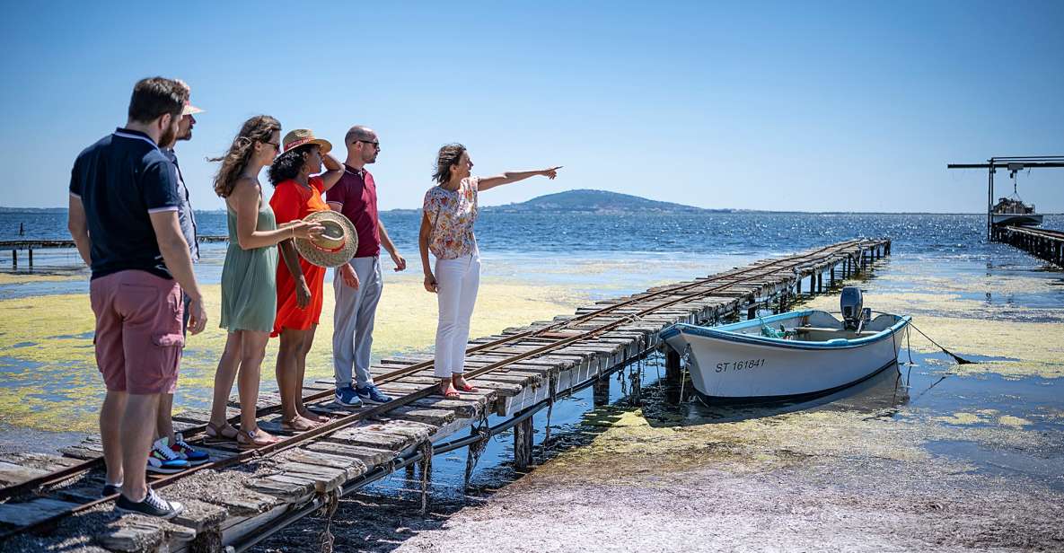 Montpellier Wine and Oyster Tour - Duration and Group Size