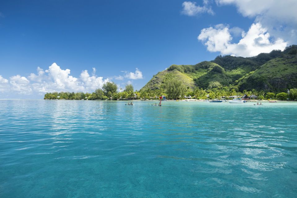 Moorea Highligts: Blue Laggon Shore Attractions and Lookouts - Rotui Juice Factory: Guided Tastings