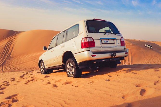 Morning Desert Safari - Camel Riding Experience