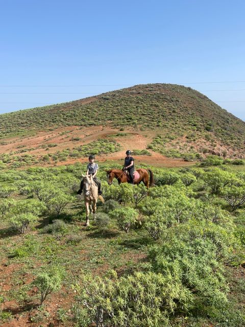 Mountain Panoramic Tour of 2 Hours - Experience Details