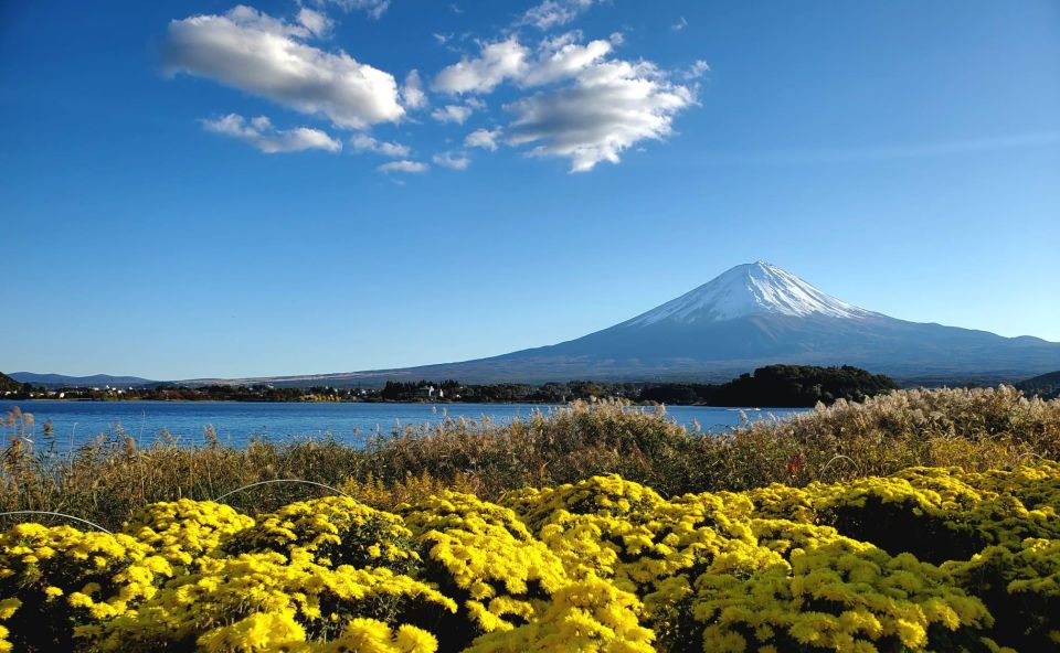 Mt Fuji: Full Day Private Tour With English Guide - Itinerary Highlights