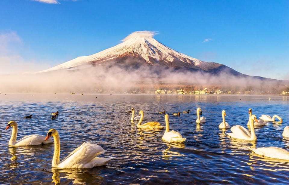 Mt.Fuji: Oshino Hakkai, Hakone, Owakudani Cable Car Day Trip - Itinerary Highlights