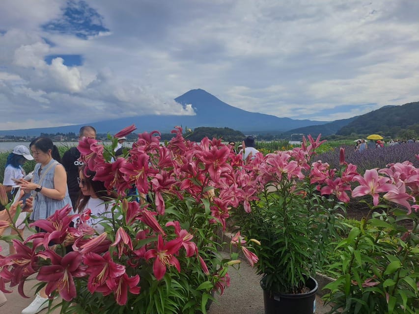 Mt. Fuji: Private Tour With English Guide - Itinerary Highlights