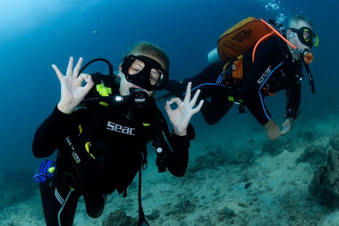 Muscat Diving Experience to Daymaniyat Islands - Meeting and Pickup