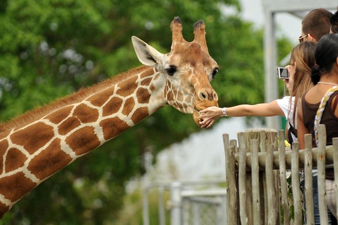 Nairobi National Park and Giraffe Center Tour - Inclusions