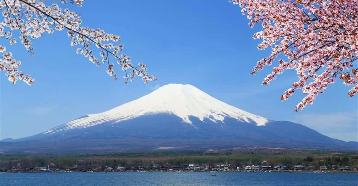 Narita Airport（NRT）to/from Mount Fuji Private Transfer - Vehicle and Accessibility