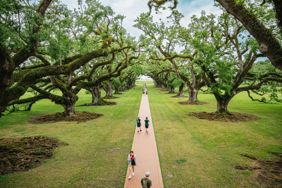 New Orleans: Oak Alley Plantation and Swamp Cruise Day Trip - Pickup and Transportation