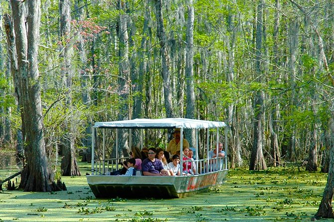 New Orleans Self-Transport Swamp and Bayou Boat Tour - Location and Duration