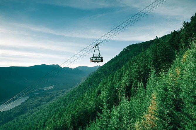 North Shore Day Trip From Vancouver: Capilano Suspension Bridge & Grouse Mtn - Experiences