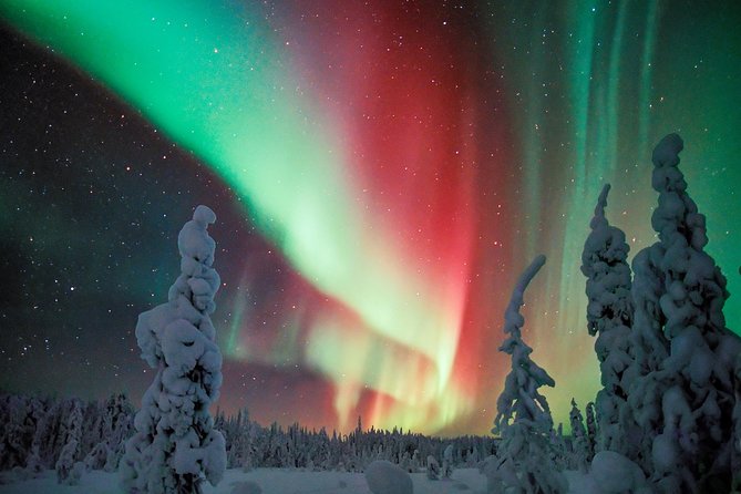 Northern Lights Photography Tour From Rovaniemi - Inclusions