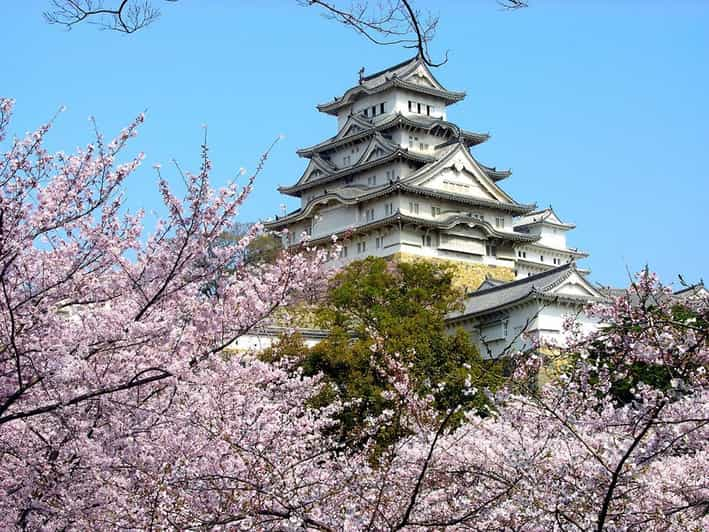 Osaka Castle Ticket With Private Transfer Review - Private Transfer Service