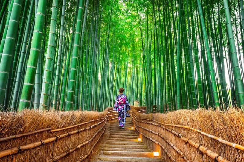 Osaka/Kyoto: Sanzenin, Arashiyama Train, Bamboo Forest Trip - Highlights and Experiences