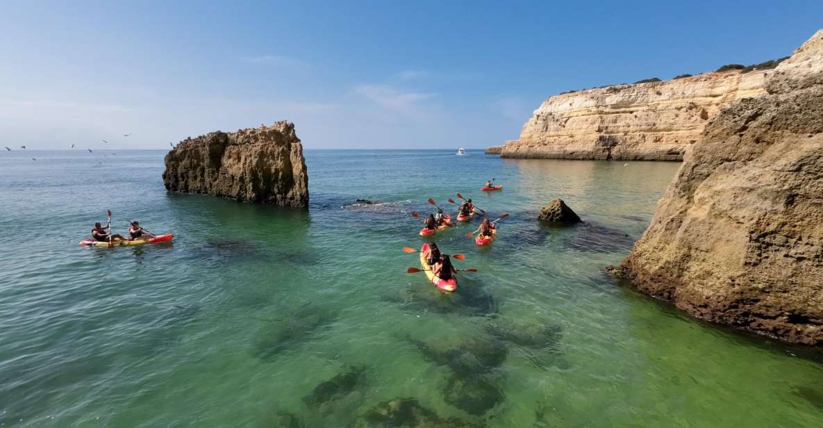 Pêra's Arm: 2-Hour Wild Beaches and Caves Kayak Tour - Itinerary Highlights