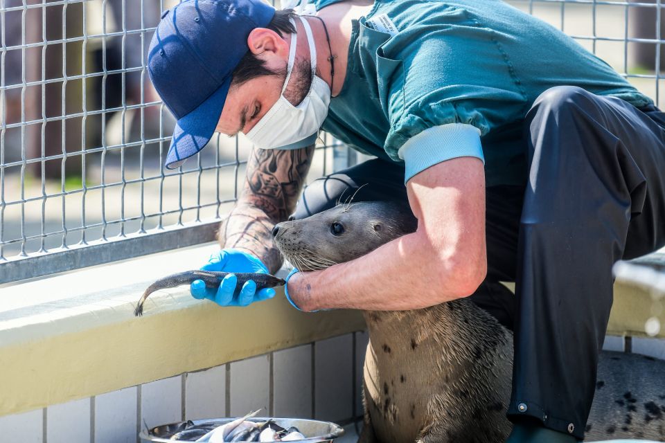 Pieterburen: Seal Rehabilitation and Research Centre Ticket - Experience Highlights