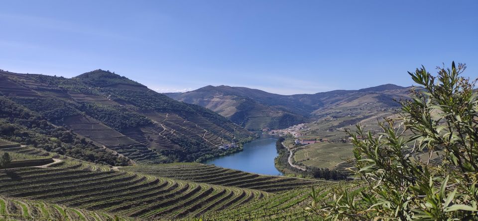 Pinhão: Douro Valley With Wine Tasting, Boat Trip and Lunch - Enjoy a Wine Tasting