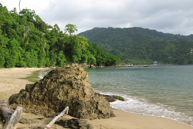 Pirates Bay Day Trip With Lunch - Health and Safety Guidelines