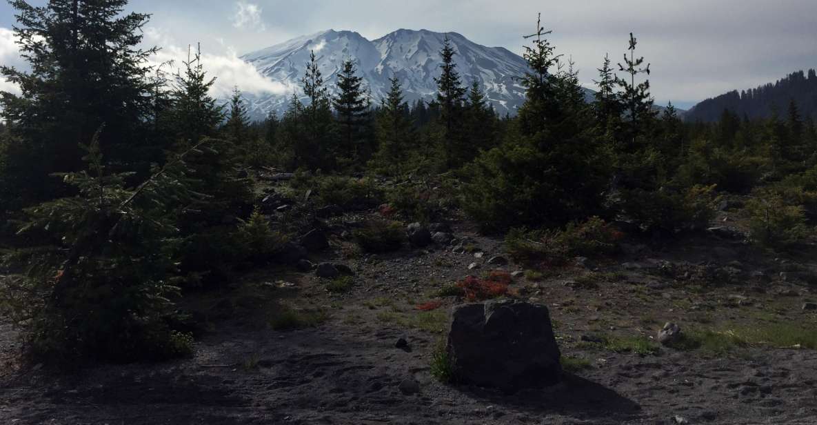 Portland: The Mt. St. Helens Adventure Tour - Crawling Through a Lava Tree Mold