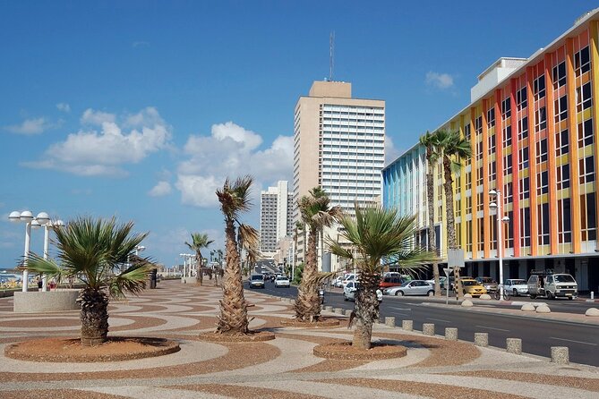 Private Arrival Transfer: From Ben Gurion Airport to Tel Aviv City Center - Service Features