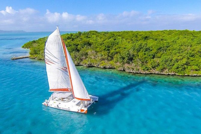 Private Charter Full Day Cruise: Ile Aux Cerfs - Embarkation and Itinerary