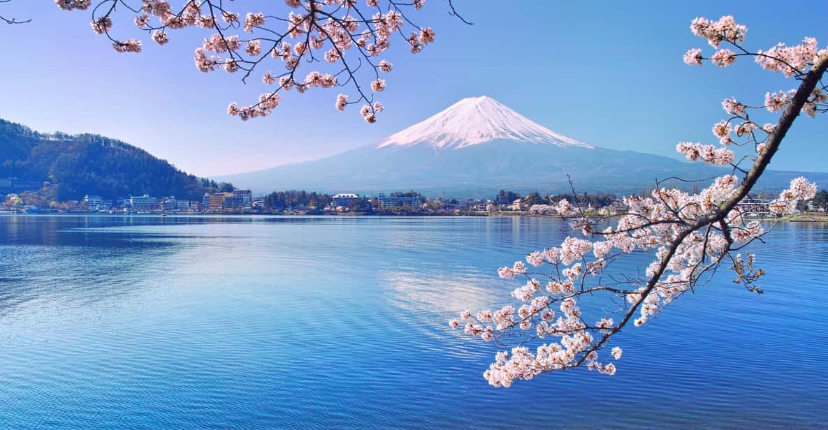 Private Customized Tour in Mount Fuji - Itinerary and Attractions