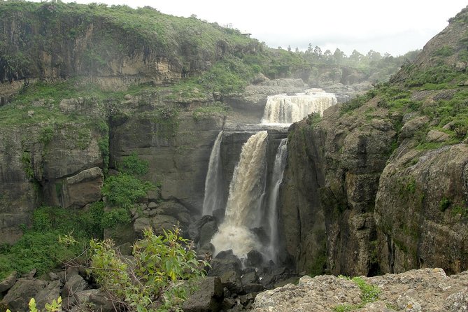 Private Day Trip to Debre Libanos Portuguese Bridge Galada Baboon - Inclusions