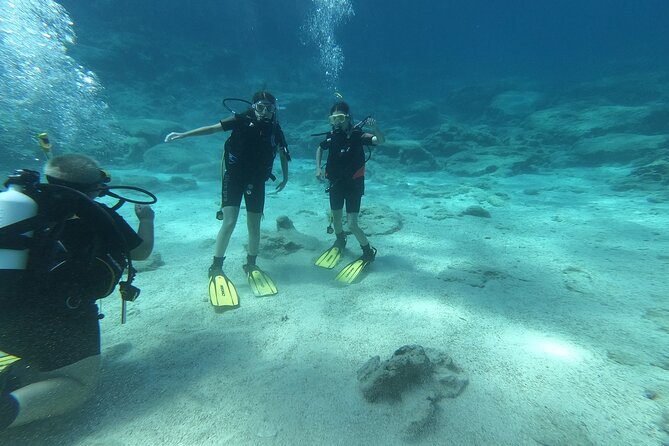 Private Diving Cyprus Experience Protaras and Ayia Napa & Turtles - Included Scuba Equipment and Services