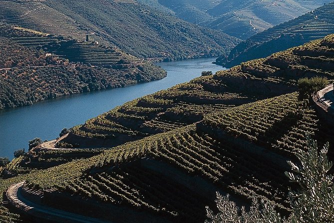 Private Douro Valley Tour Includes Wine Tasting and Boat Tour - Itinerary Highlights