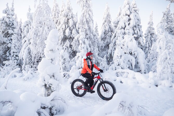 Private Electric Fat Bike Winter Tour in Rovaniemi - Meeting and Pickup