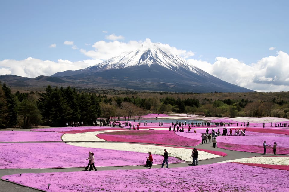 Private Guided Tour To Mount Fuji With Roundtrip Transfer. - Personalization and Experience