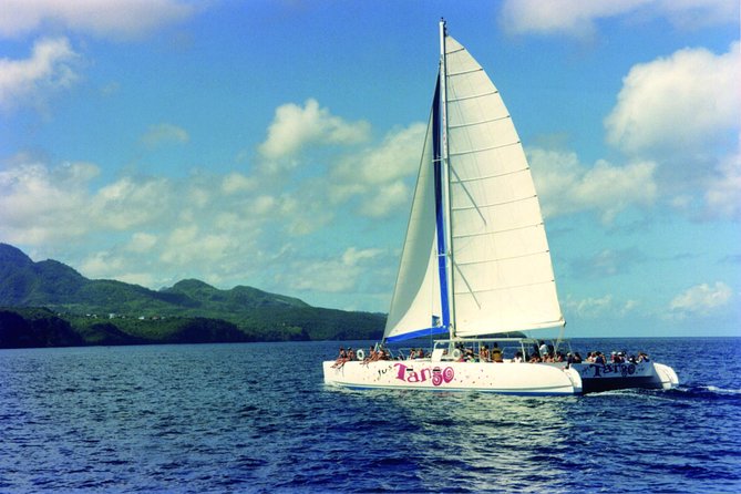 Private Half Day Catamaran Charter - Inclusions and Covered Expenses