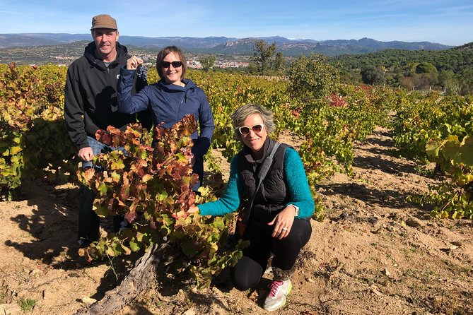 Private Half-Day Wine Tour Near Madrid - Rated Unique and Personalized - Tour Details