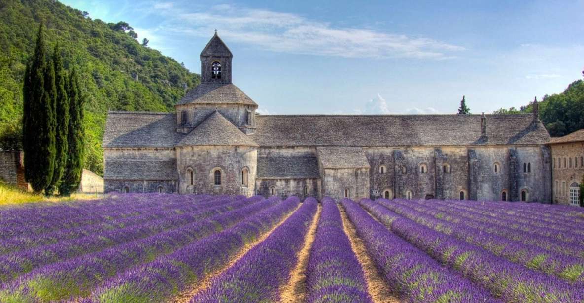 Private Lavender of Provence Tour - Highlights of the Tour