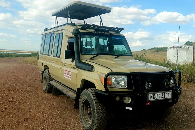 Private Safari Nairobi National Park in 4*4 Landcruiser - Wildlife Sightings Highlights